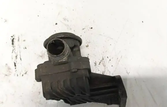 EGR valve
