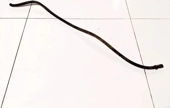 Power steering hose/pipe/line