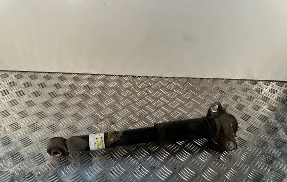 Lexus UX Rear shock absorber/damper 4853076180