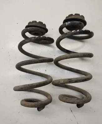 Nissan Qashqai Rear coil spring