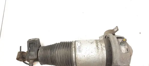Porsche Cayenne (9PA) Rear shock absorber/damper 7L5616020G