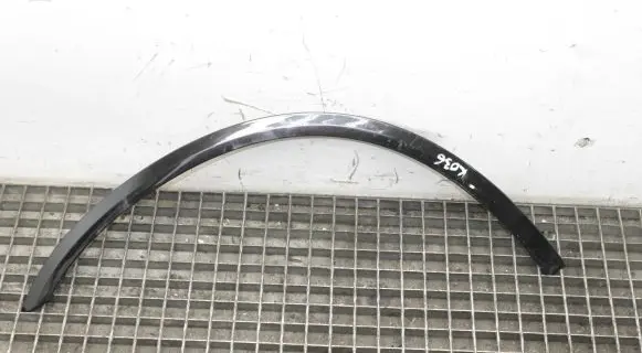 Chrysler 300 - 300C Fender trim (molding)