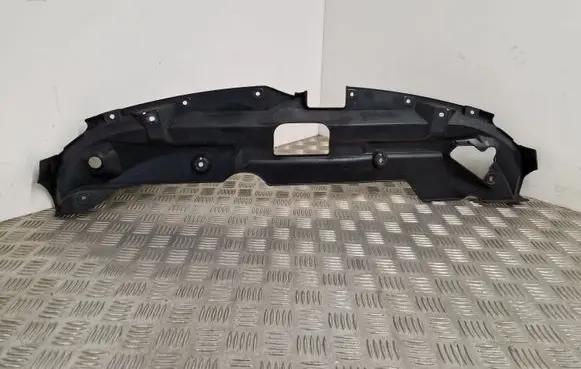 Engine bonnet/hood lock trim molding