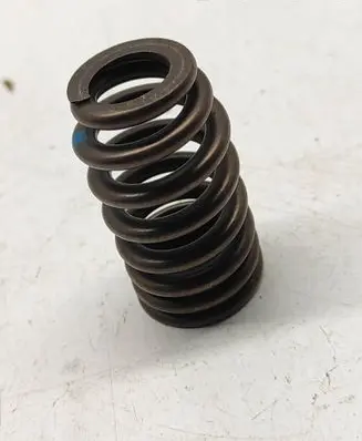 Dodge Challenger Valve spring 5037382BC