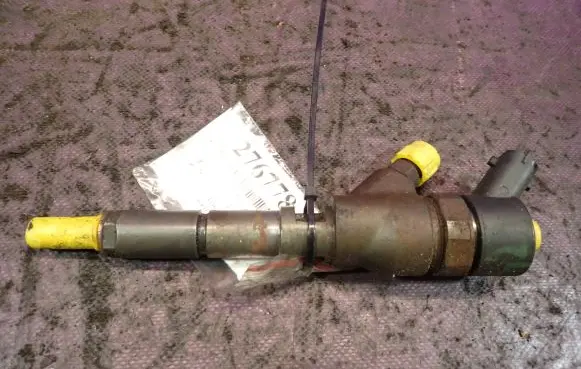 Citroen C5 Fuel injector 0445110076