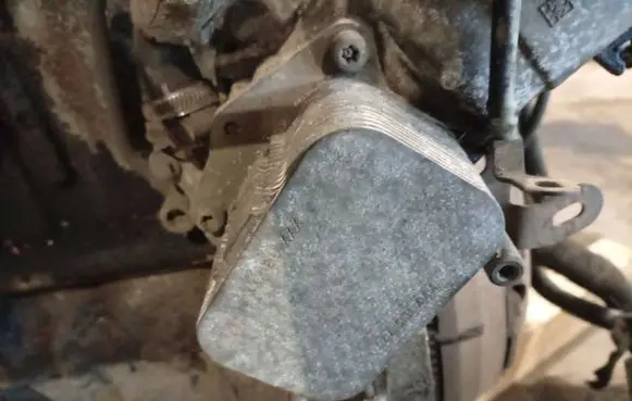 Citroen C4 I Engine oil radiator