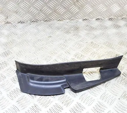 Rear/tail light trim molding