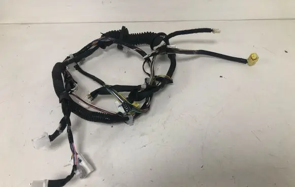 Front door wiring loom