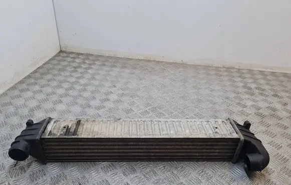 Volkswagen Sharan Intercooler radiator 7M3145805 1710078