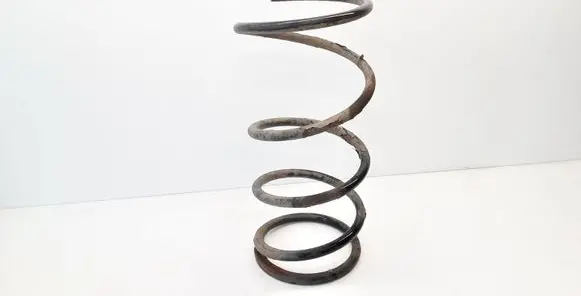 Toyota RAV 4 (XA20) Front coil spring