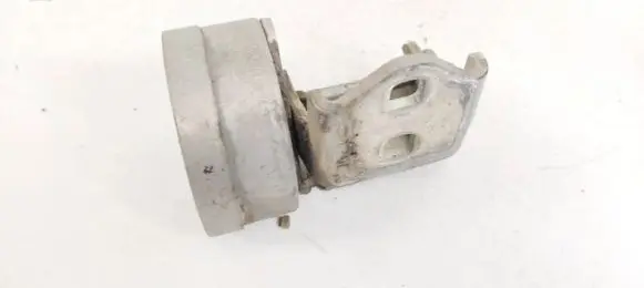 Renault Megane II Rear door lower hinge