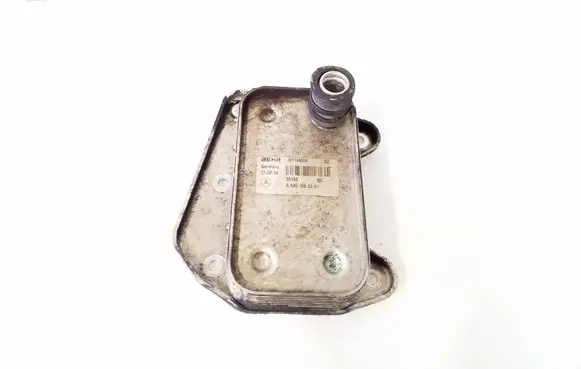 Mercedes-Benz Vito Viano W639 Oil filter mounting bracket A6461880301