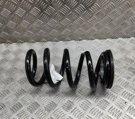 Tesla Model Y Rear coil spring 118847500D