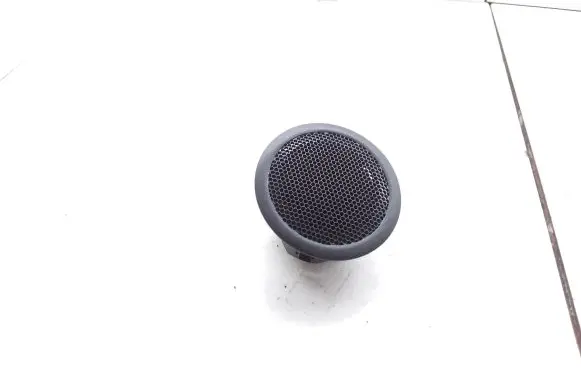 Front door high frequency speaker