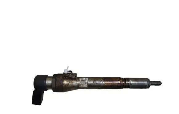 Renault Megane III Fuel injector H8200294788