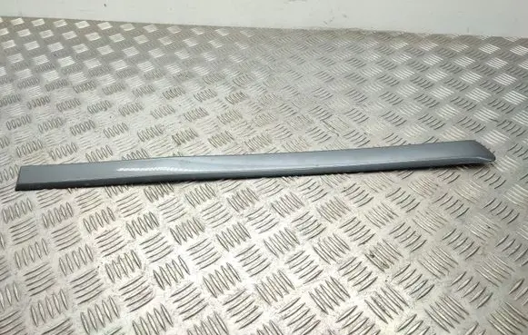 Seat Exeo (3R) Rear door trim (molding) 8E0853964