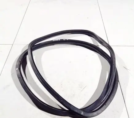 Audi A6 S6 C6 4F Rubber seal front coupe door 