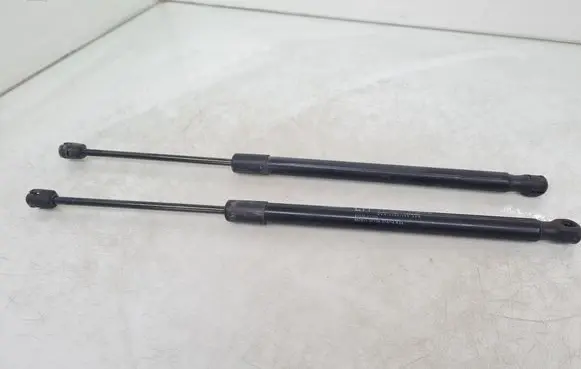 Tailgate/trunk strut/damper
