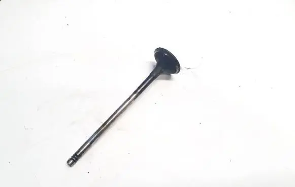 Renault Vel Satis Valve 