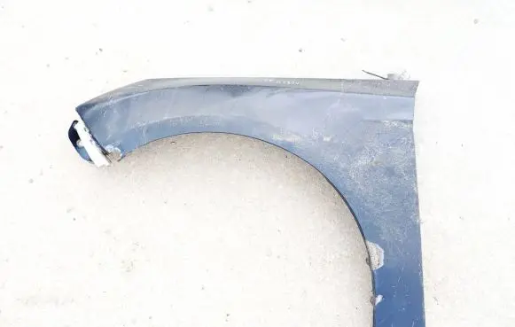 Ford Focus Fender Pilka