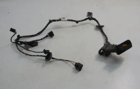 Skoda Roomster (5J) Front door wiring loom 5J0971120BJ