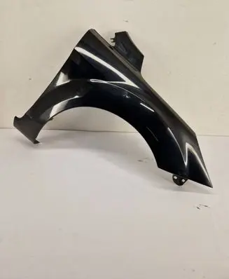 Ford Focus Fender