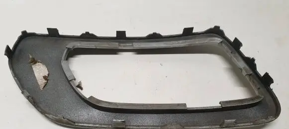 Front fog light trim/grill