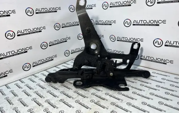BMW X5 F15 Engine bonnet/hood hinges 7294530 17205310 611530
