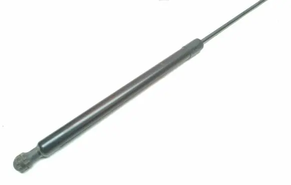 Tailgate strut
