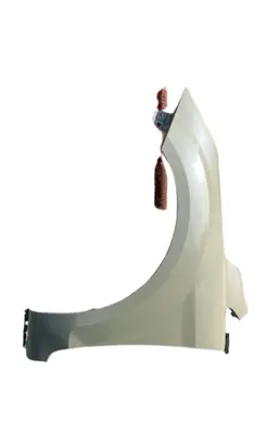 Ford Focus Fender