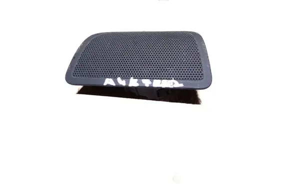 Panel speaker
