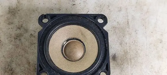 Panel speaker
