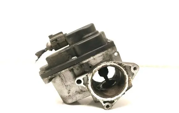 Volkswagen Tiguan Electric throttle body valve VE360064