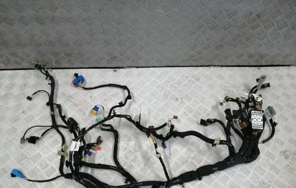 Citroen e-C3 Panel wiring 9863421580 702030