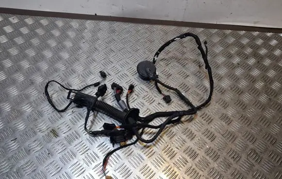 Audi Q5 SQ5 Front door wiring loom 8R0971687AA