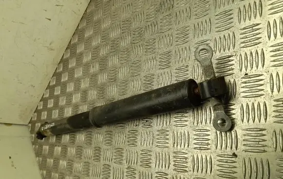 Peugeot 408 P54 Rear shock absorber/damper 9854048580