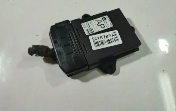 Opel Signum Door control unit/module 13111459