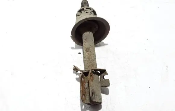 Renault Scenic I Front shock absorber/damper 543024308R