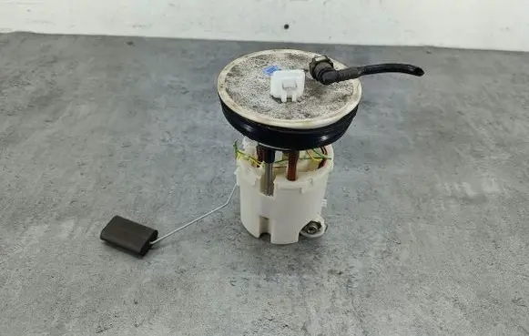 Ford Fiesta In-tank fuel pump C2031335X