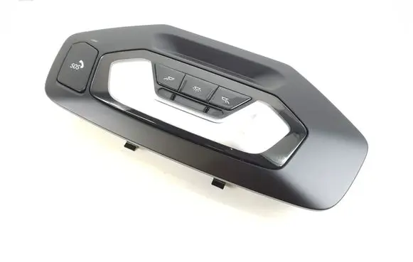 BMW Z4 g29 Front seat light 61319474897