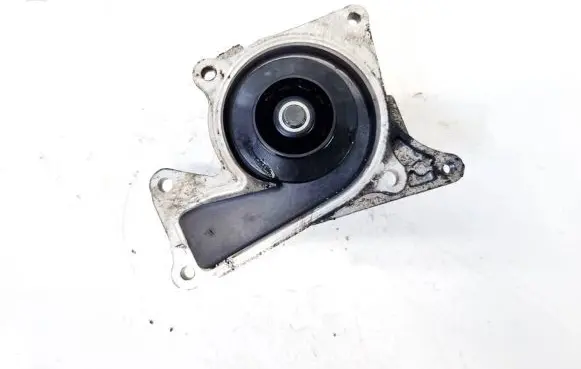 Renault Megane III Water pump 86419380