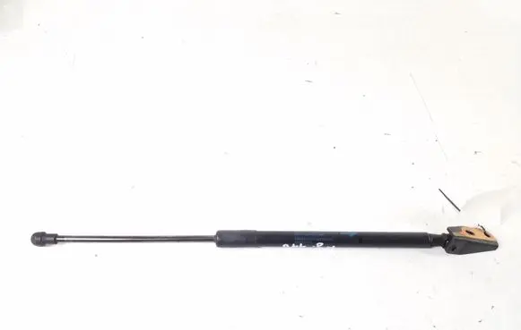 Tailgate strut