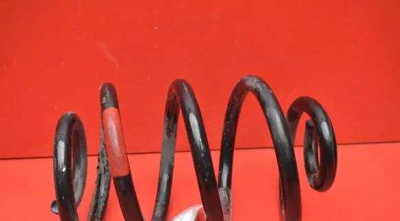 Nissan Leaf I (ZE0) Rear coil spring