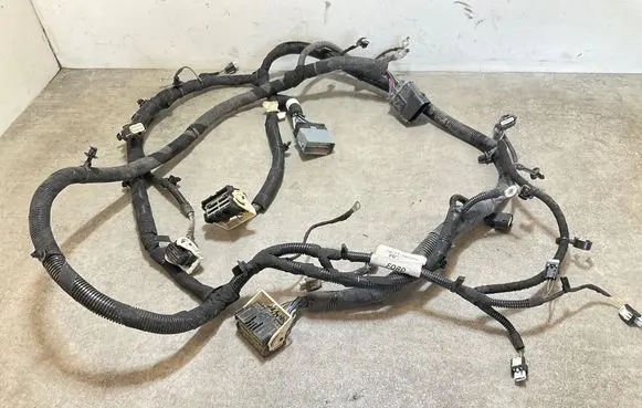 Other wiring loom