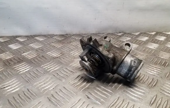 Thermostat/thermostat housing