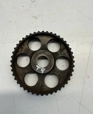 Volkswagen Transporter - Caravelle T4 Camshaft pulley/ VANOS 069109111