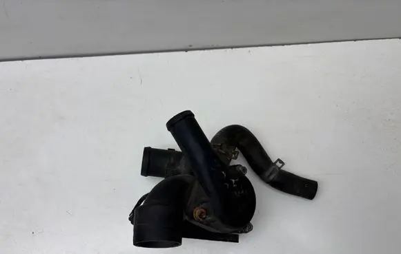 Thermostat/thermostat housing