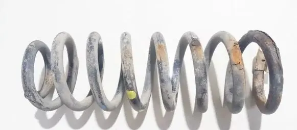 Peugeot 607 Rear coil spring