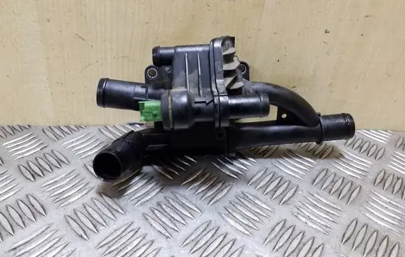 Thermostat/thermostat housing