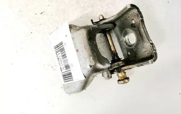 Peugeot 307 Rear door lower hinge
